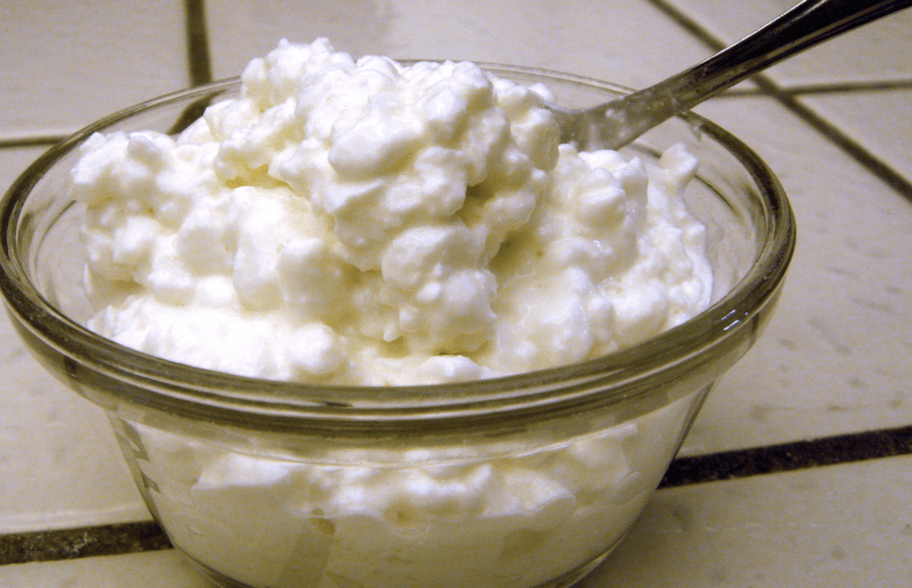 Cottage Cheese